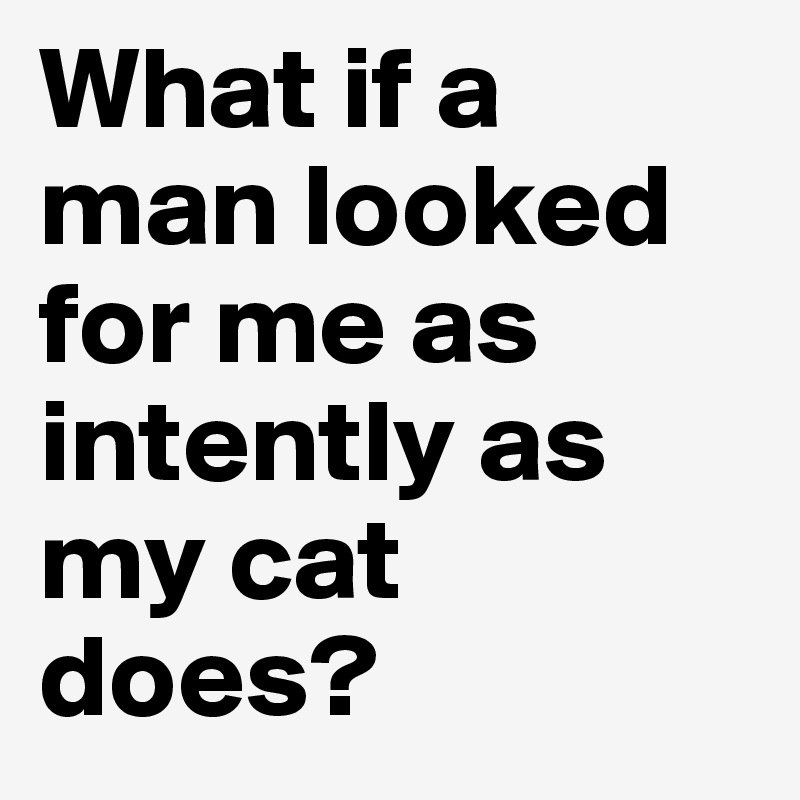 What if a man looked for me as intently as my cat does? 