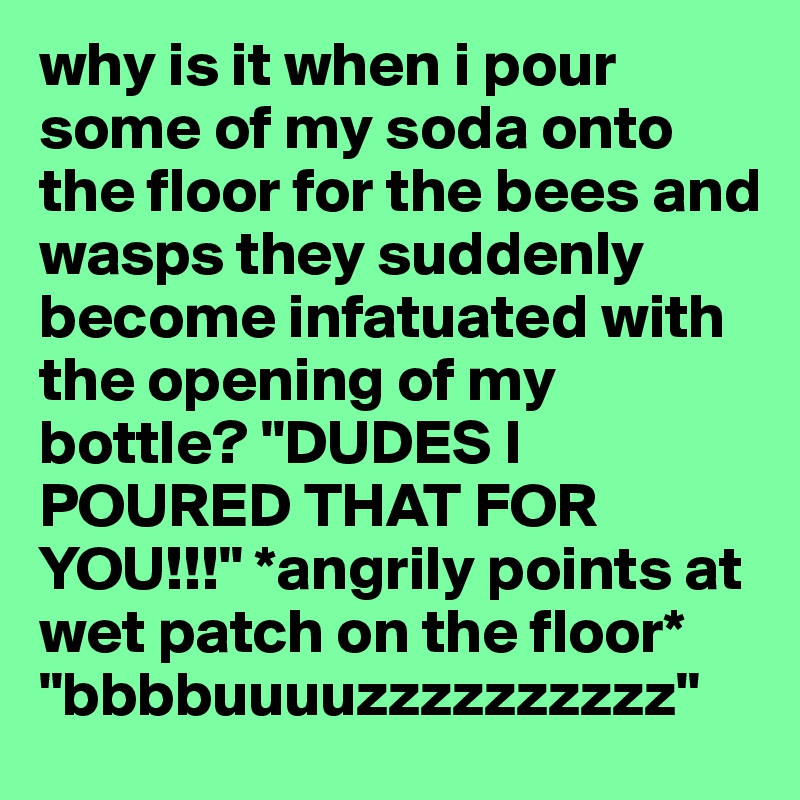 why is it when i pour some of my soda onto the floor for the bees and wasps they suddenly become infatuated with the opening of my bottle? "DUDES I POURED THAT FOR YOU!!!" *angrily points at wet patch on the floor* "bbbbuuuuzzzzzzzzzz"