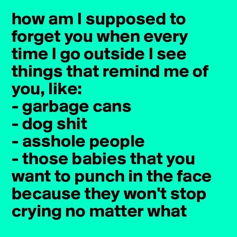 how am I supposed to forget you when every time I go outside I see things that remind me of you, like: 
- garbage cans
- dog shit
- asshole people 
- those babies that you want to punch in the face because they won't stop crying no matter what 