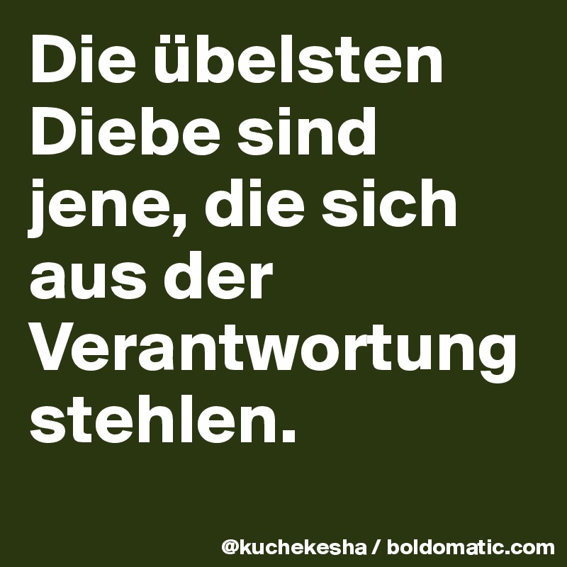 Die übelsten Diebe sind jene, die sich aus der Verantwortung stehlen.
