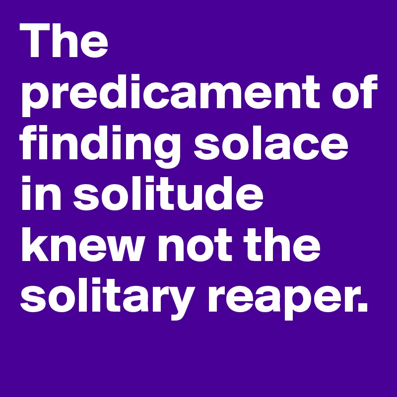 The predicament of finding solace in solitude knew not the solitary reaper. 