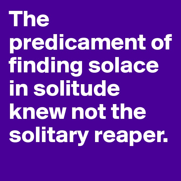 The predicament of finding solace in solitude knew not the solitary reaper. 