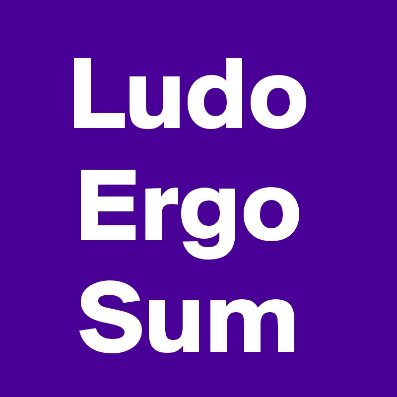 Ludo Ergo Sum