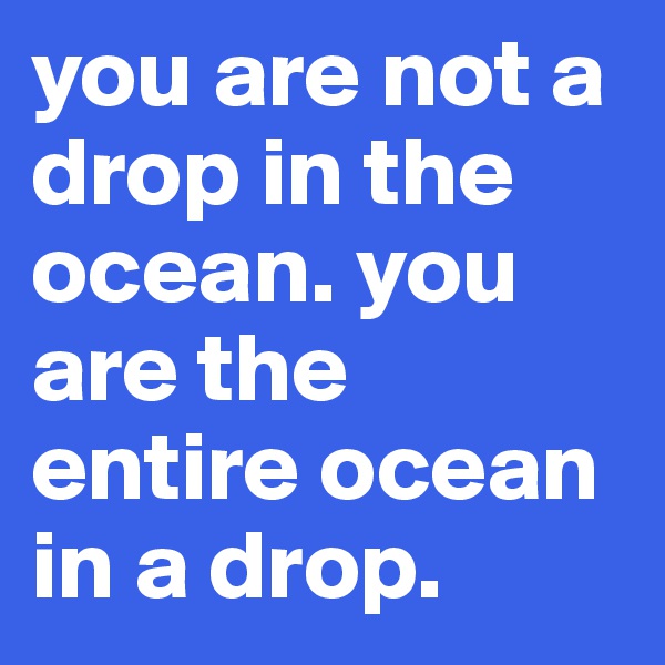 you are not a drop in the ocean. you are the entire ocean in a drop.