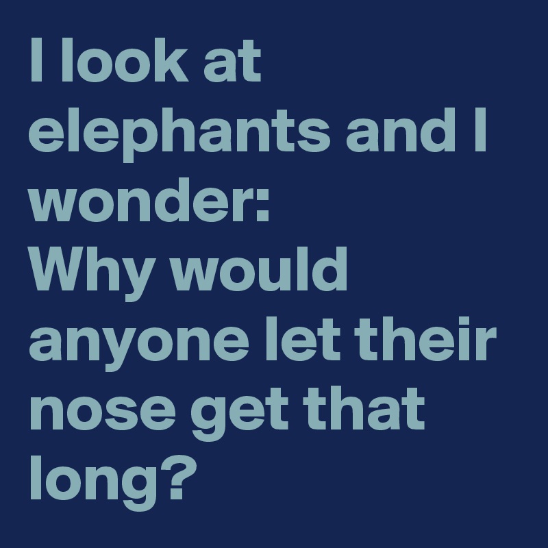 I look at elephants and I wonder:
Why would anyone let their nose get that long?