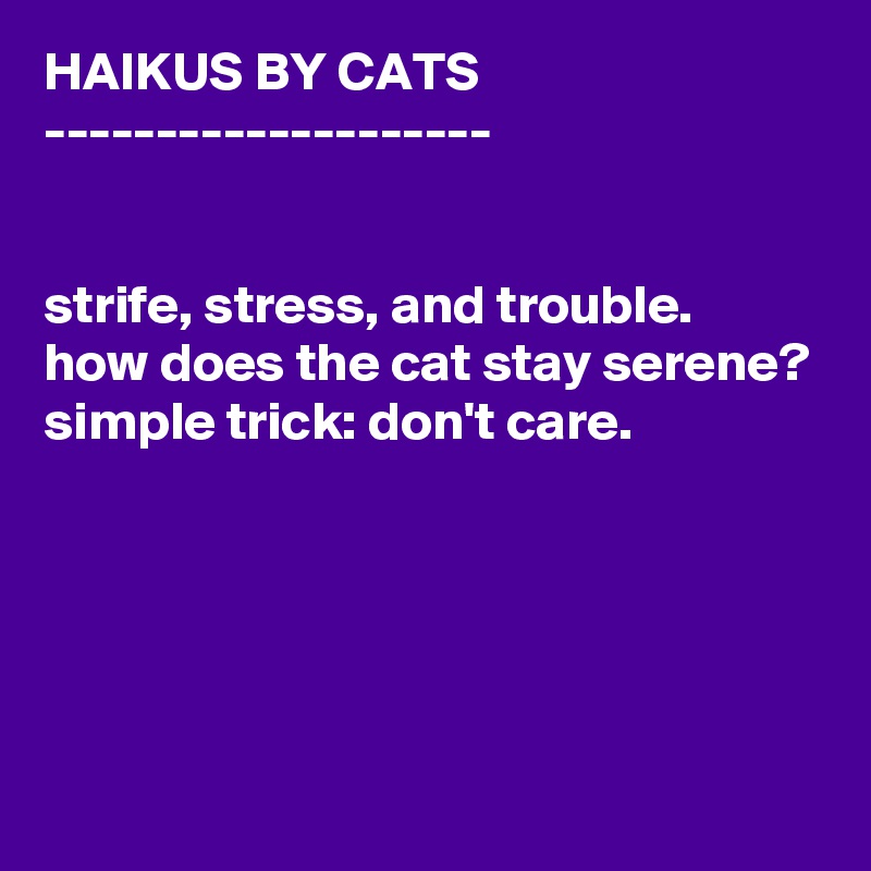HAIKUS BY CATS
--------------------


strife, stress, and trouble.
how does the cat stay serene?
simple trick: don't care.





