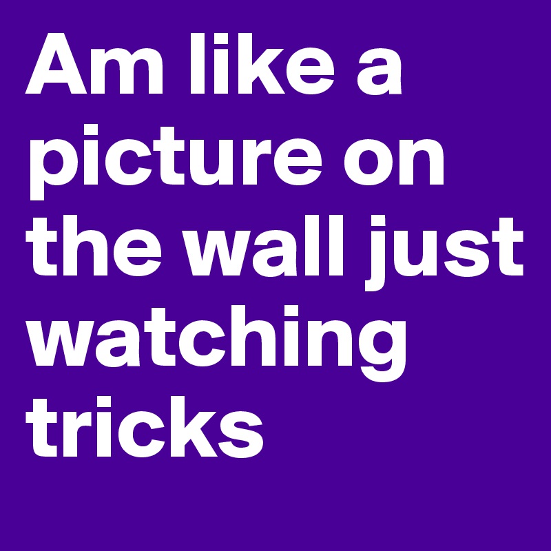 Am like a picture on the wall just watching tricks