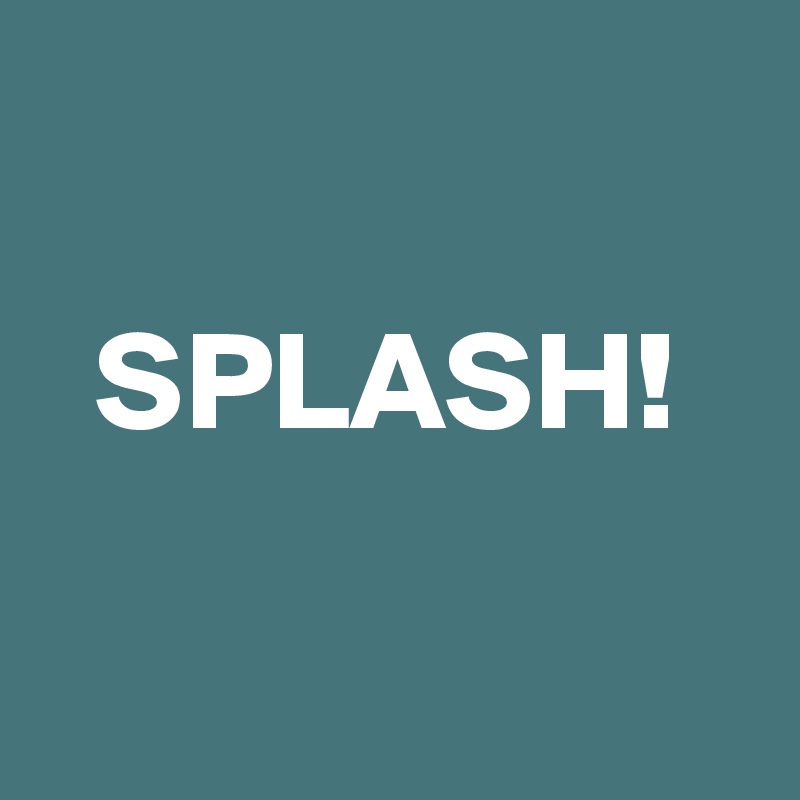 

  SPLASH!

