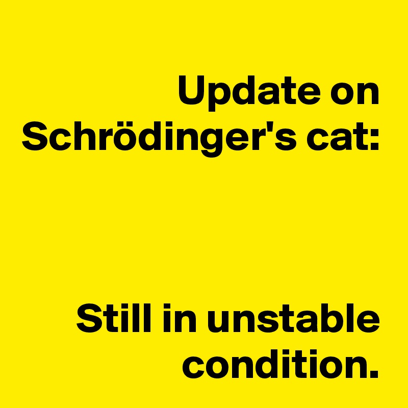Update on Schrödinger's cat:



Still in unstable condition.