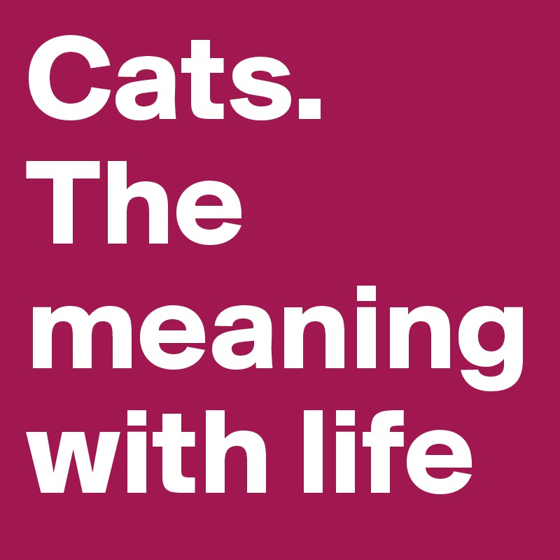 Cats.
The meaning with life