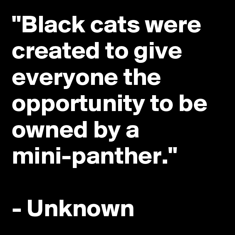 "Black cats were created to give everyone the opportunity to be owned by a mini-panther."

- Unknown