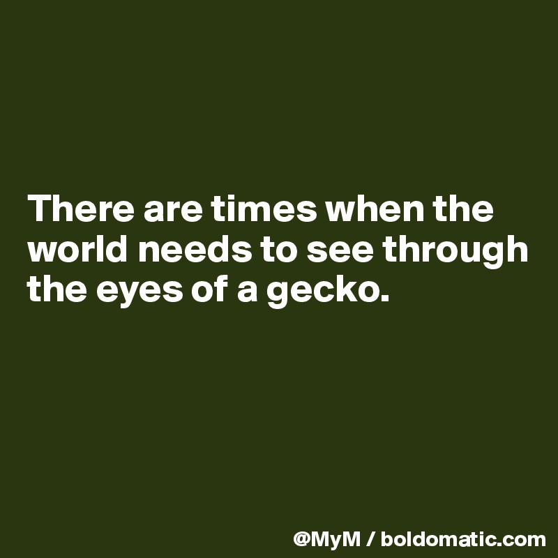 



There are times when the world needs to see through the eyes of a gecko.




