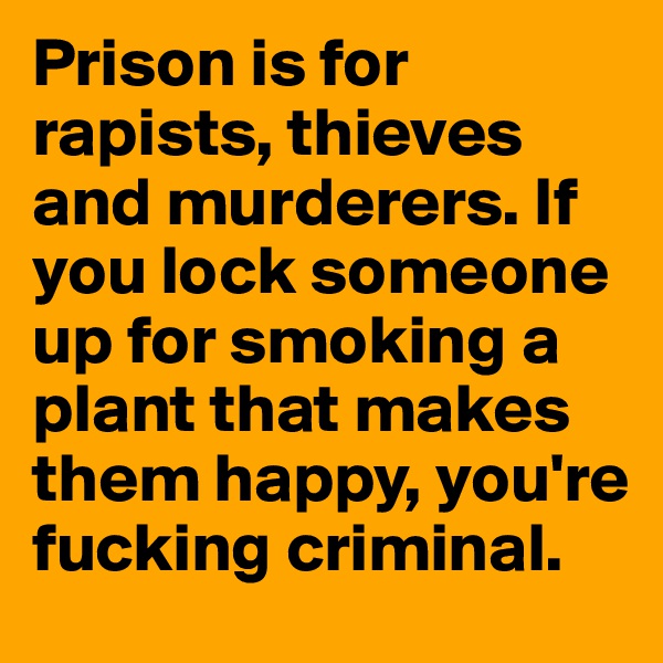 Prison is for rapists, thieves and murderers. If you lock someone up for smoking a plant that makes them happy, you're fucking criminal.