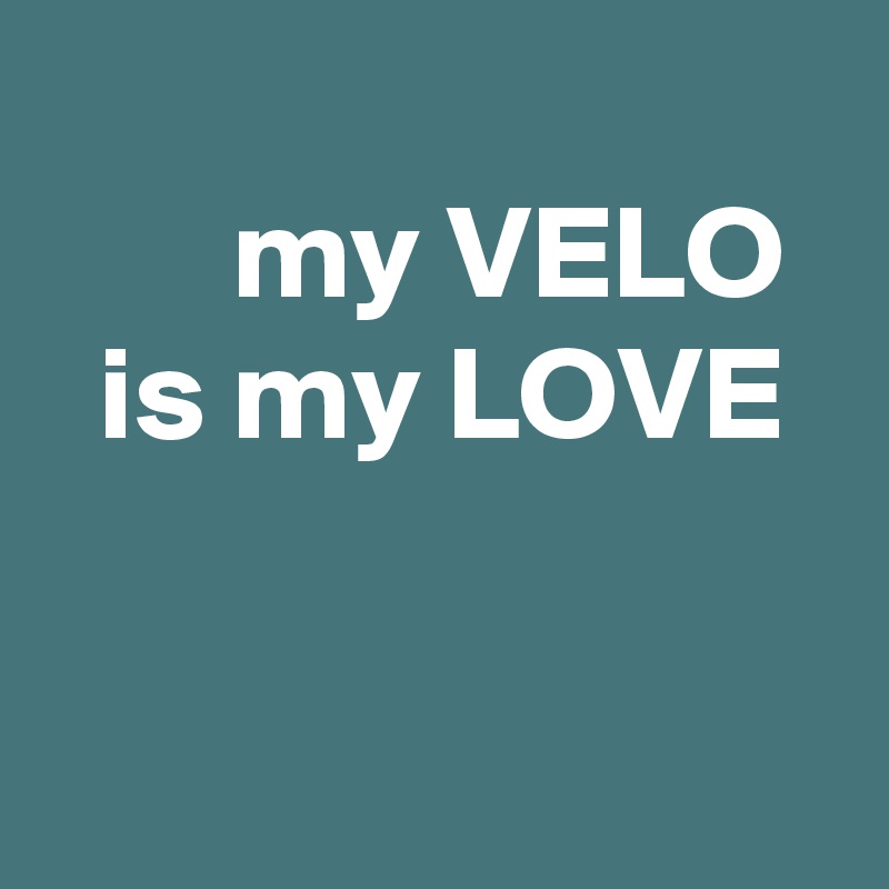 
       my VELO 
  is my LOVE

  
