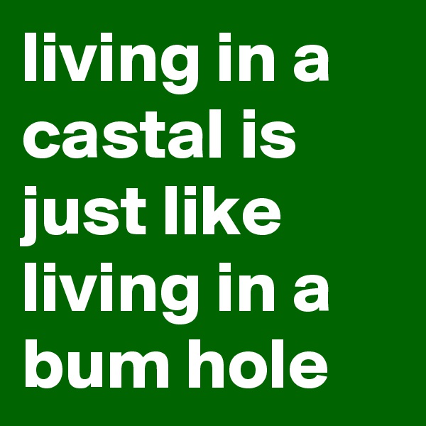 living in a castal is just like living in a bum hole