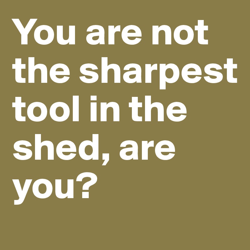 You are not the sharpest tool in the shed, are you?