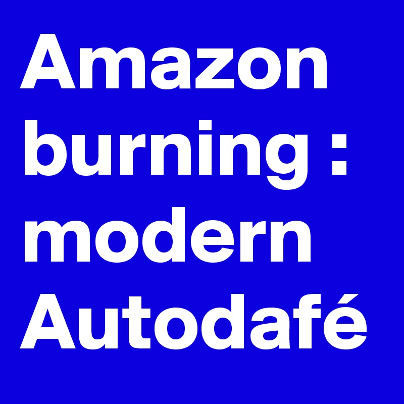Amazon burning :
modern
Autodafé 