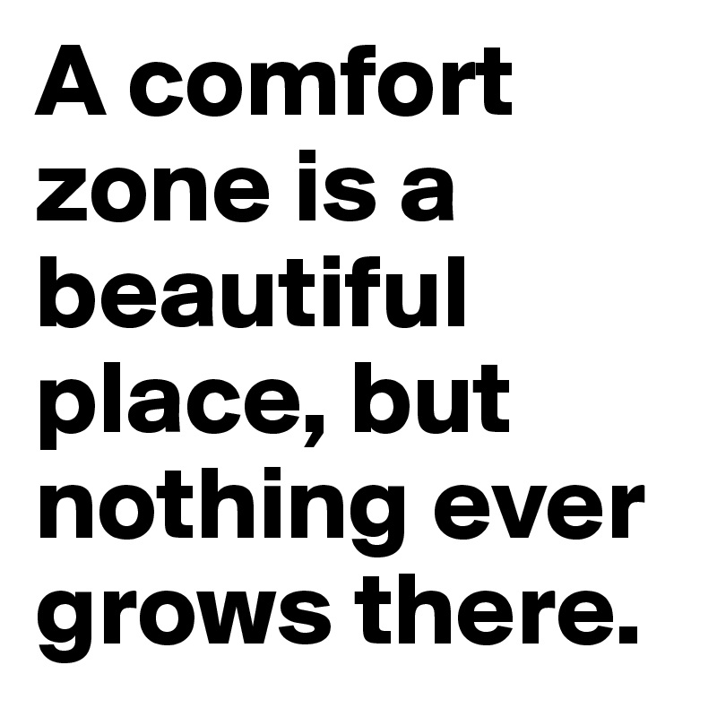 A comfort zone is a beautiful place, but nothing ever grows there.