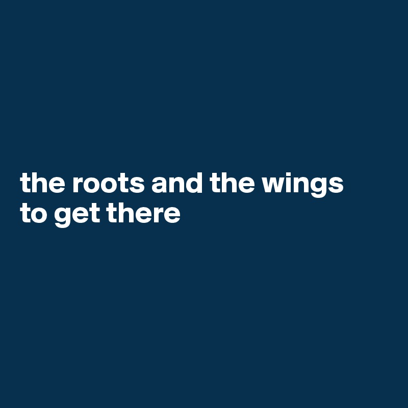 




the roots and the wings
to get there




