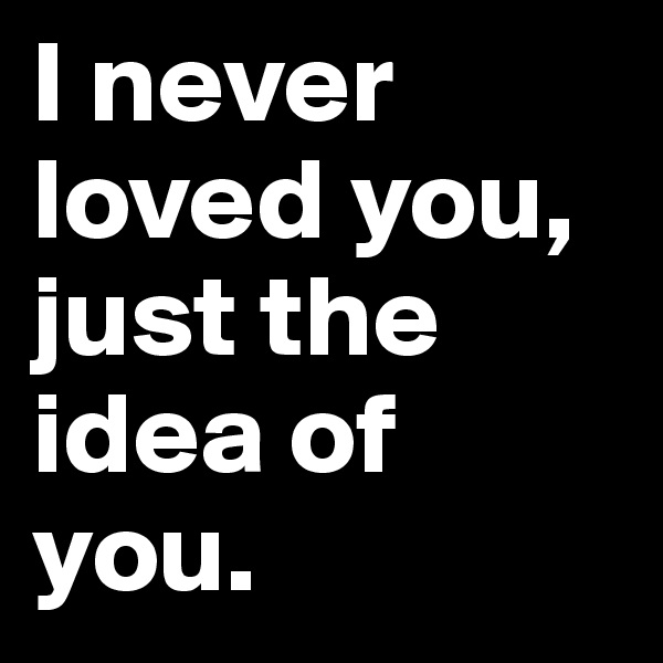 I never loved you, just the idea of you.