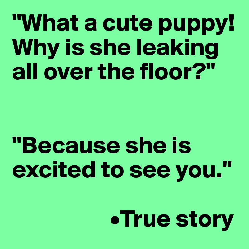 "What a cute puppy!  Why is she leaking all over the floor?"


"Because she is excited to see you."

                    •True story