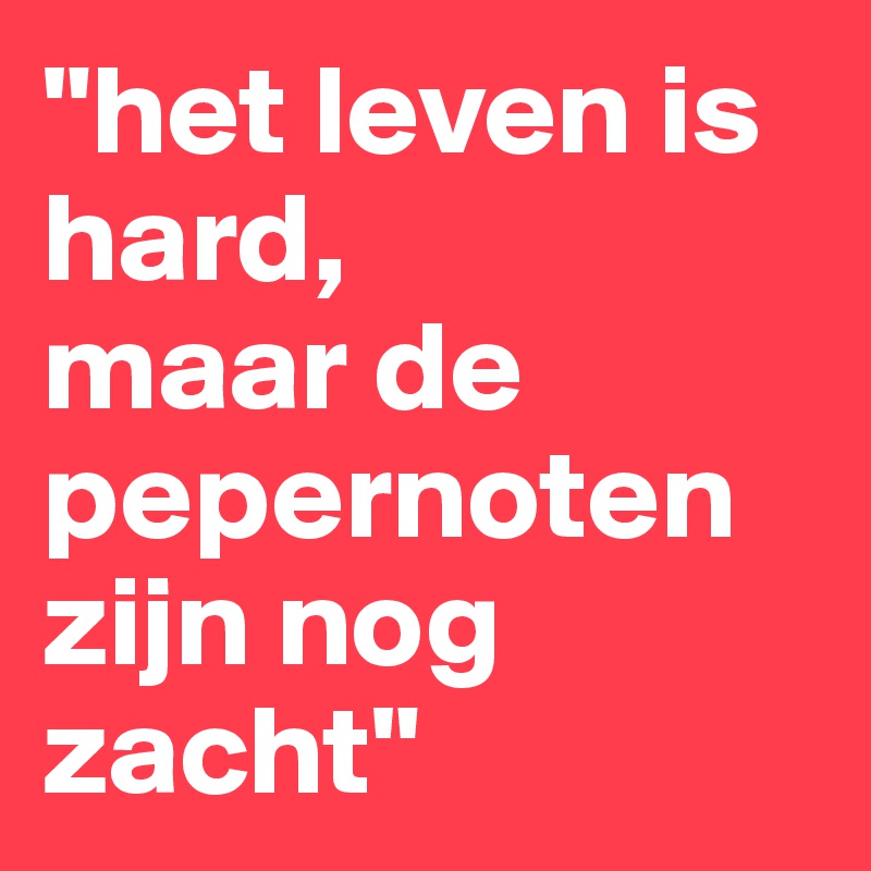 "het leven is hard, 
maar de pepernoten zijn nog zacht"