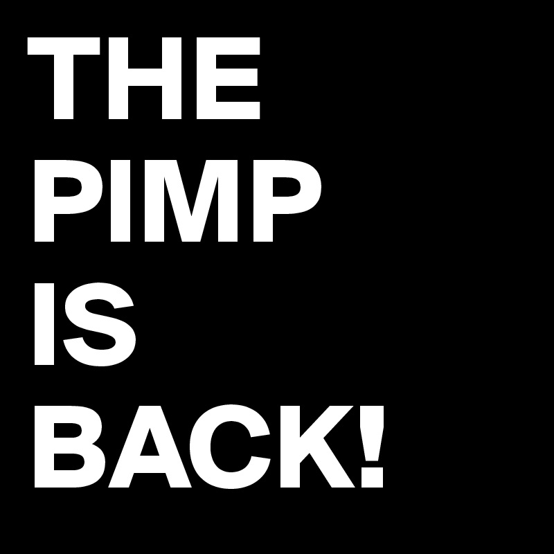 THE
PIMP
IS
BACK! 