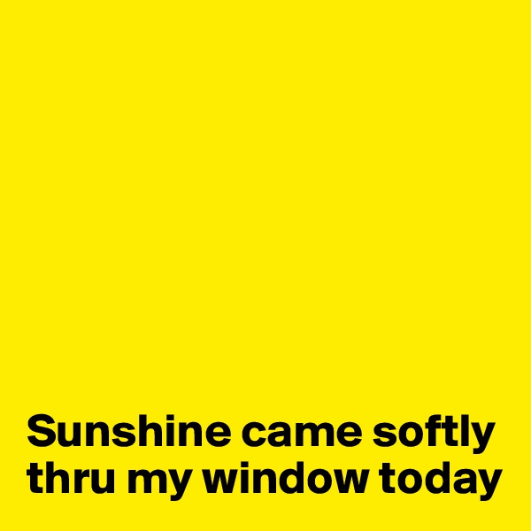 







Sunshine came softly thru my window today