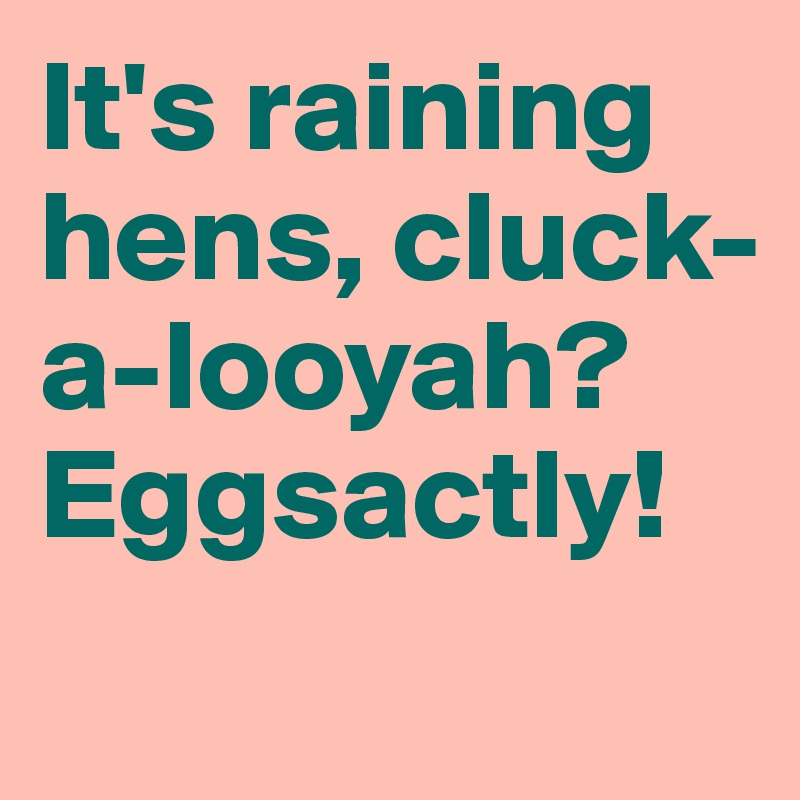 It's raining hens, cluck-a-looyah?
Eggsactly!
