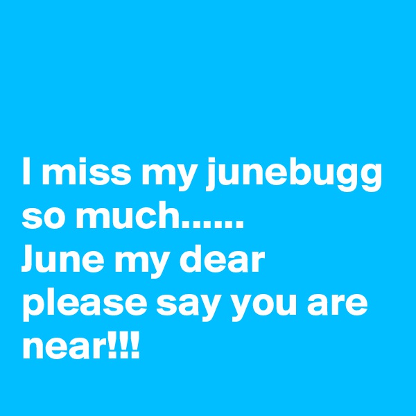 


I miss my junebugg
so much......
June my dear please say you are near!!!