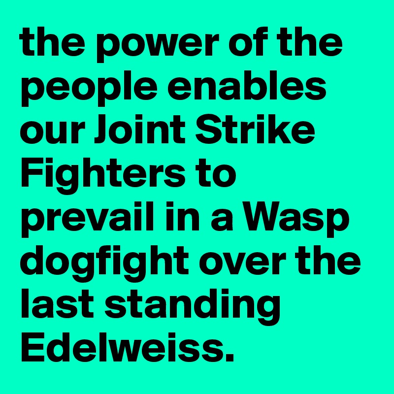 the power of the people enables our Joint Strike Fighters to prevail in a Wasp dogfight over the last standing Edelweiss.