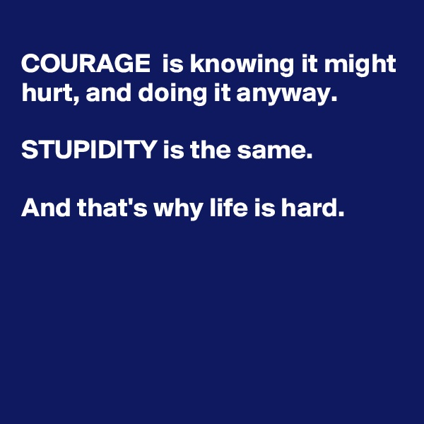 
COURAGE  is knowing it might hurt, and doing it anyway. 

STUPIDITY is the same.

And that's why life is hard.






