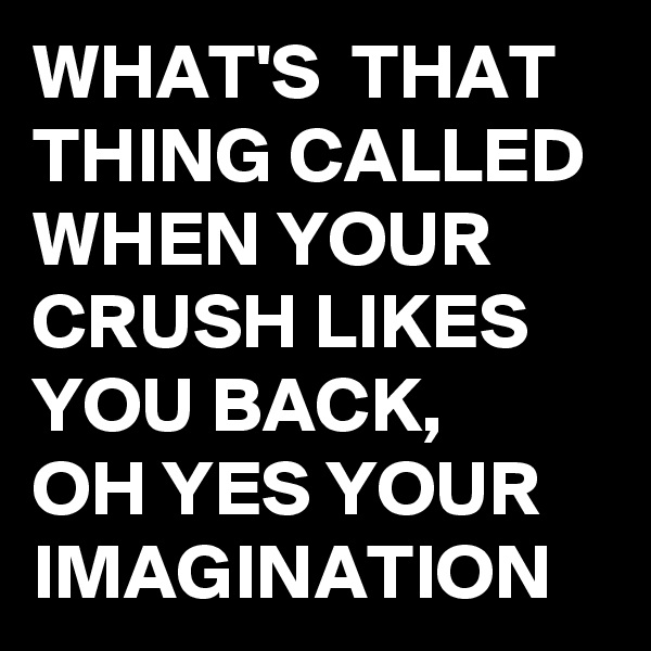 WHAT'S  THAT THING CALLED WHEN YOUR CRUSH LIKES YOU BACK,
OH YES YOUR IMAGINATION 