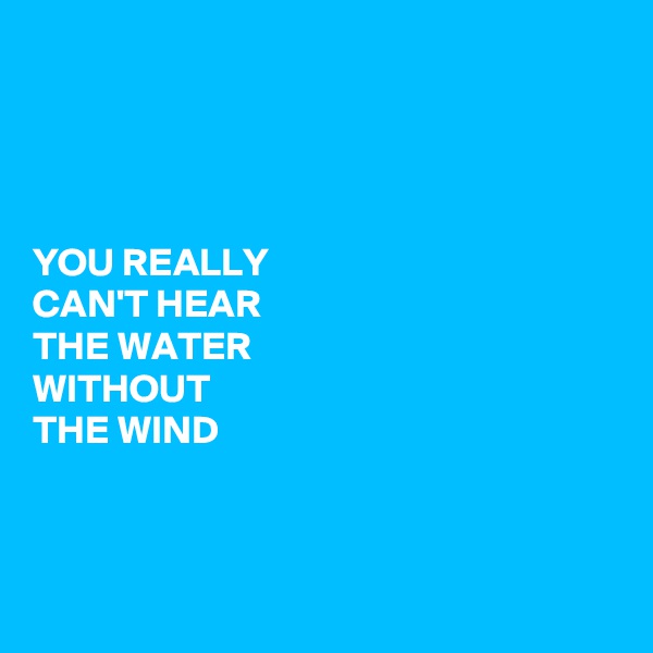 




YOU REALLY
CAN'T HEAR
THE WATER
WITHOUT
THE WIND



