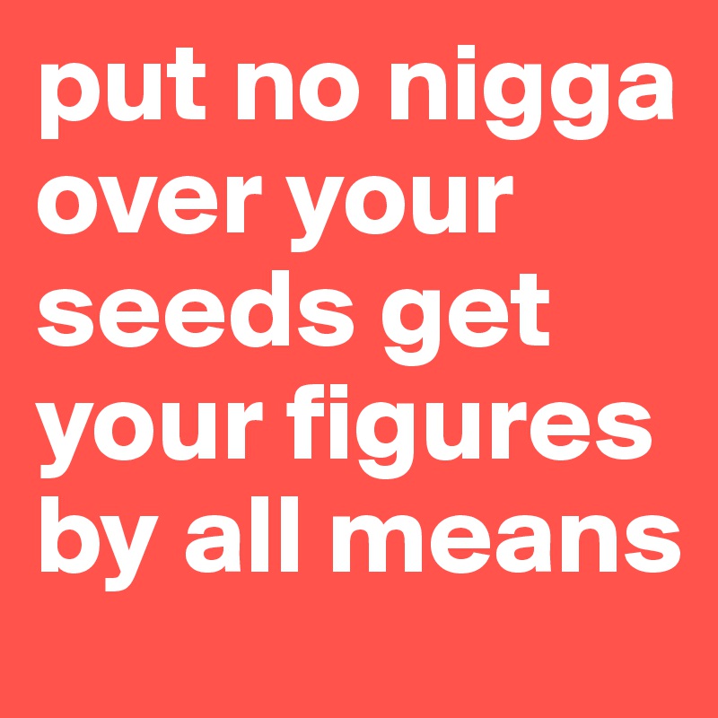 put no nigga over your seeds get your figures by all means