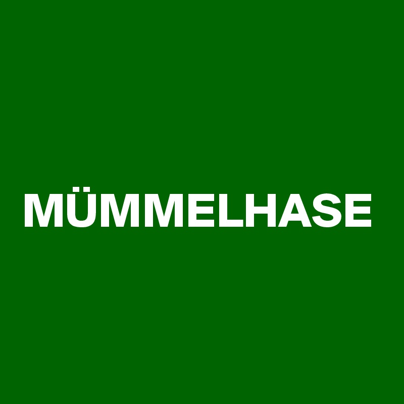 
MÜMMELHASE
