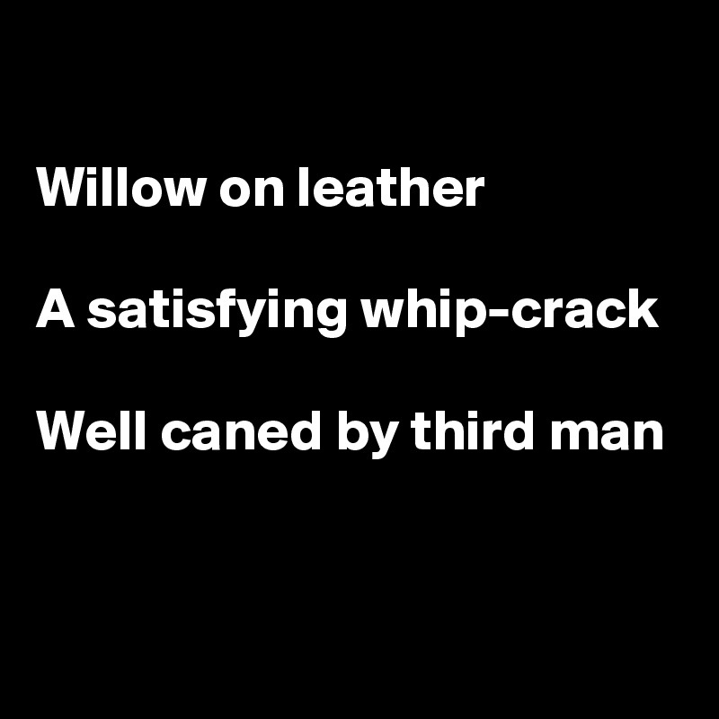 

Willow on leather

A satisfying whip-crack

Well caned by third man


