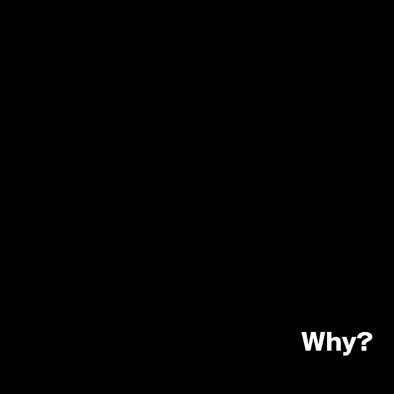 
            



            


                                   


                                                  Why? 