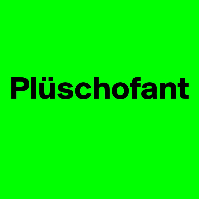 

Plüschofant

