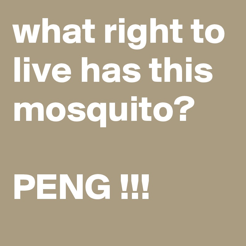 what right to live has this mosquito?

PENG !!!