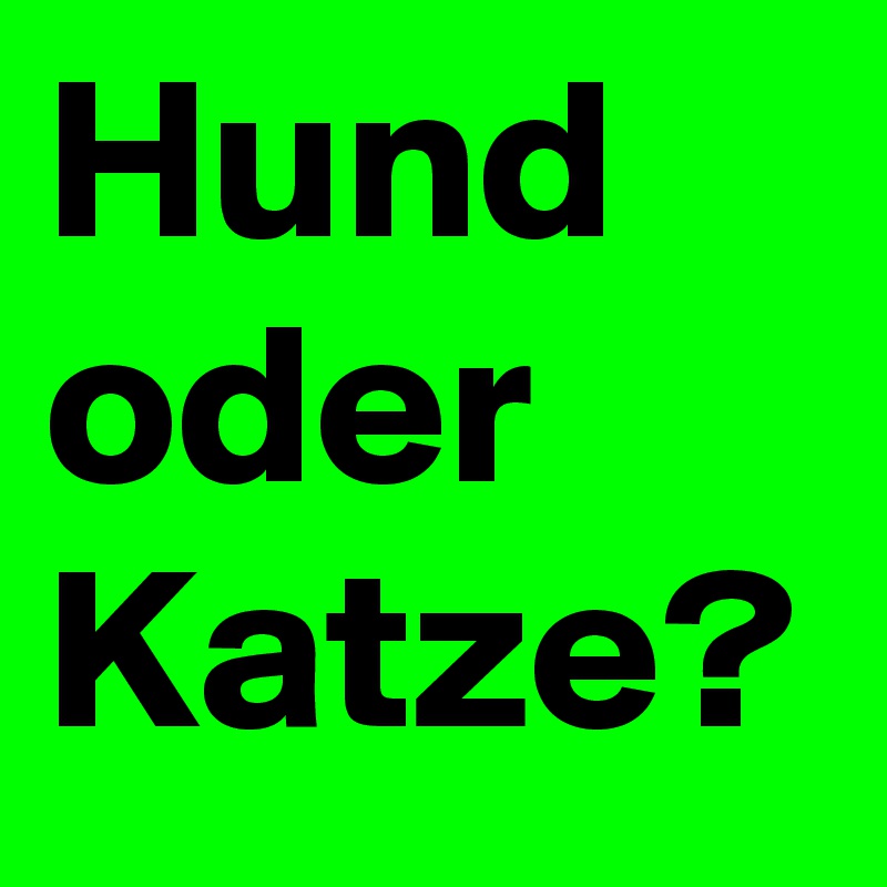 Hund oder Katze?