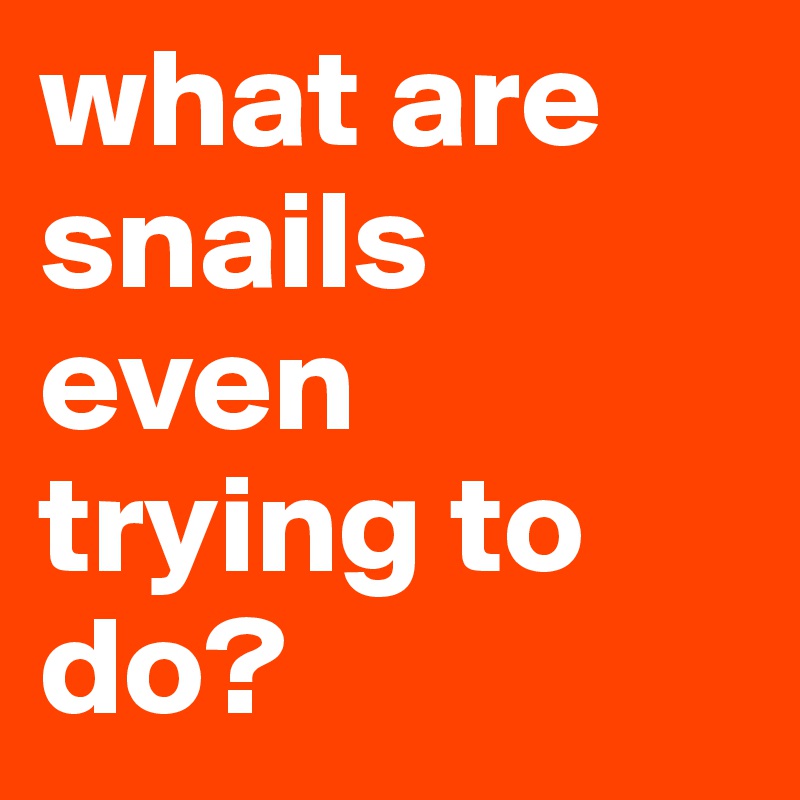 what are snails even trying to do?                             