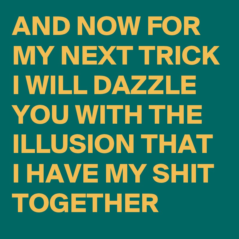 AND NOW FOR MY NEXT TRICK I WILL DAZZLE YOU WITH THE ILLUSION THAT I HAVE MY SHIT TOGETHER 