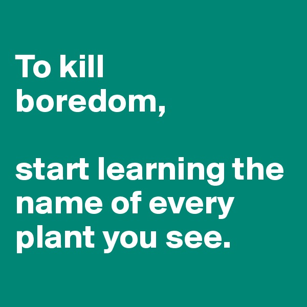 
To kill 
boredom, 

start learning the name of every plant you see.
