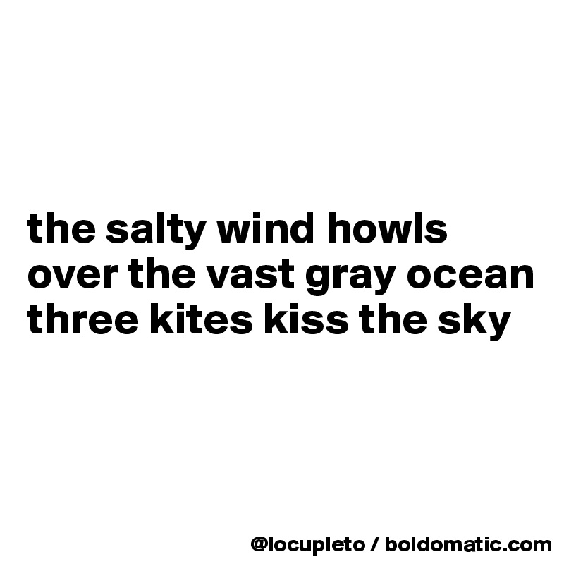 



the salty wind howls
over the vast gray ocean
three kites kiss the sky



