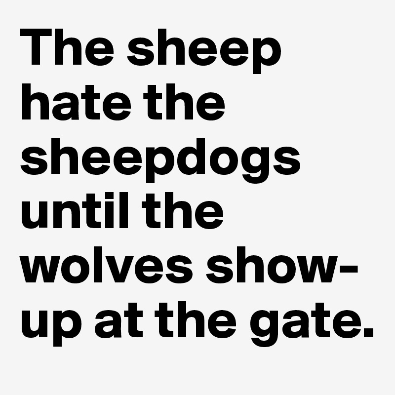 The sheep hate the sheepdogs until the wolves show-up at the gate.