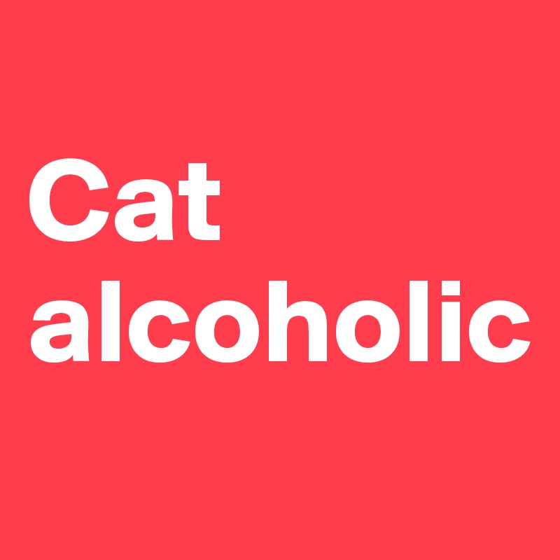 
Cat alcoholic
