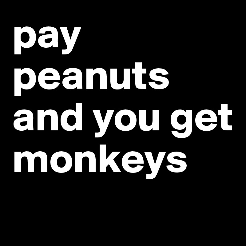 pay peanuts and you get monkeys
