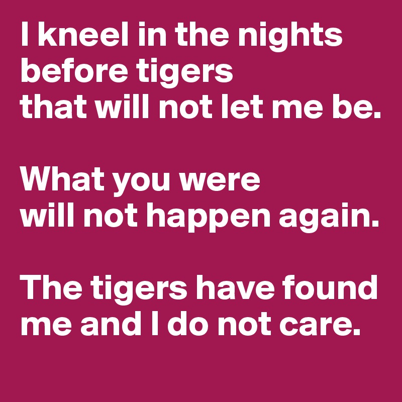 I kneel in the nights
before tigers 
that will not let me be.

What you were
will not happen again.

The tigers have found me and I do not care.
