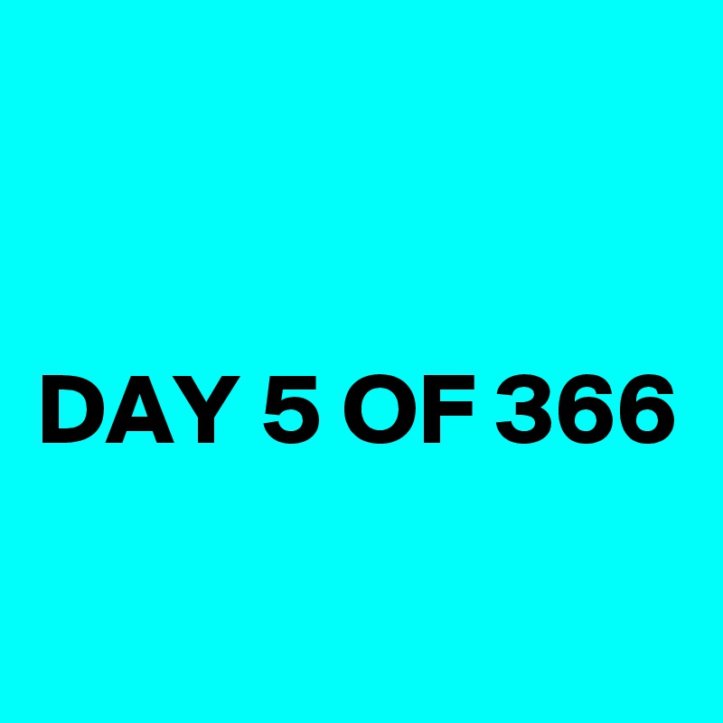 


DAY 5 OF 366

